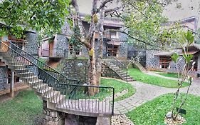Wildernest